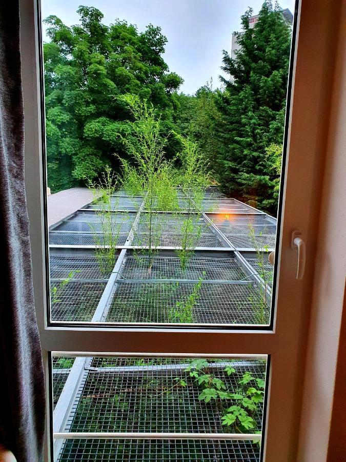 Papageiennest Apartman Drezda Kültér fotó